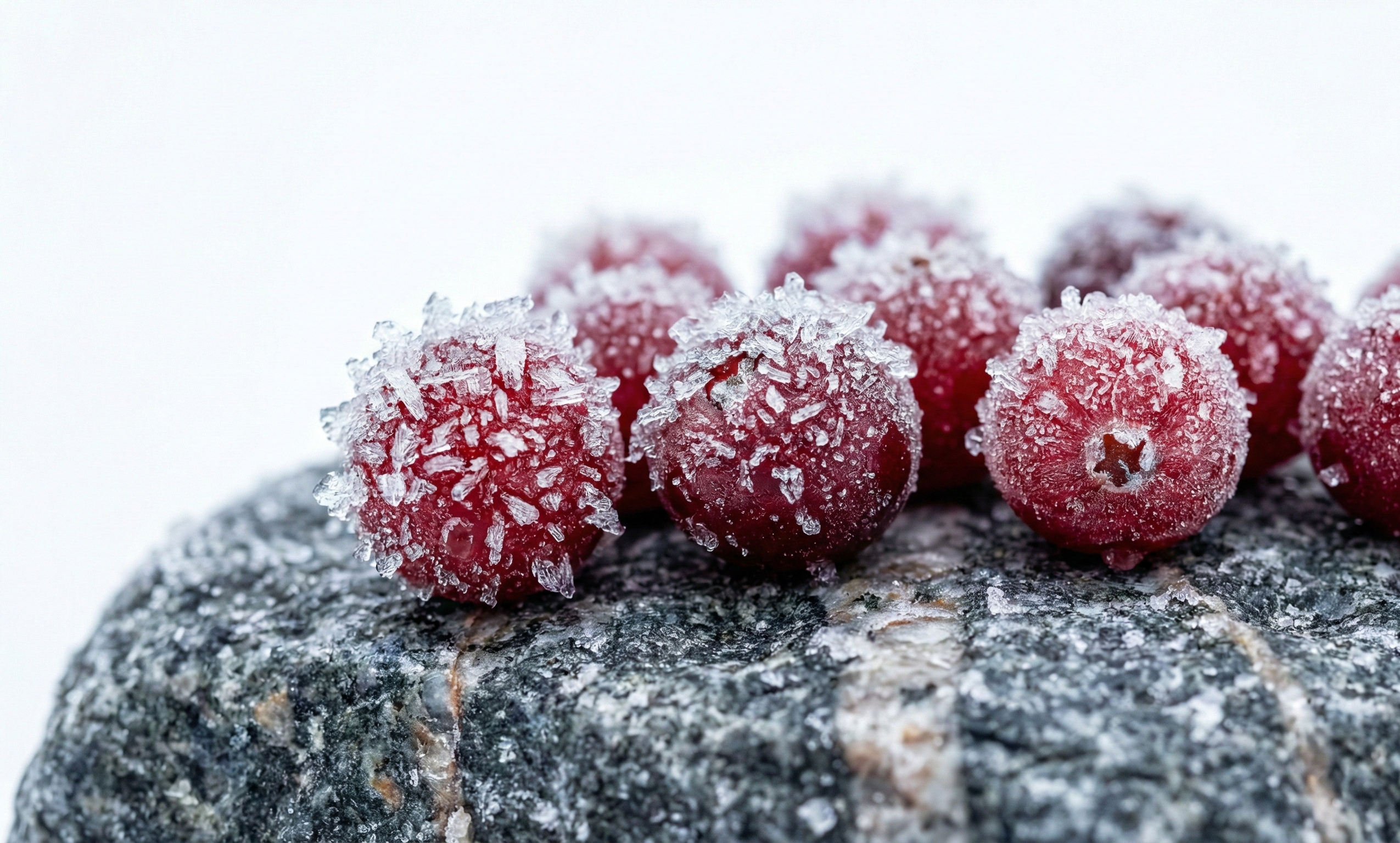 Absoluuttinen kriteeristö